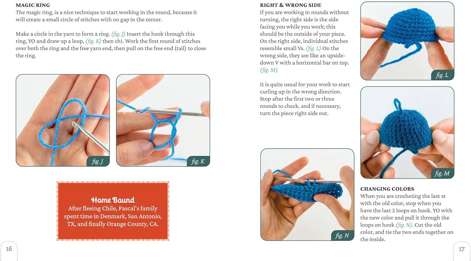 Unofficial Pedro Pascal Book and Crochet Kit